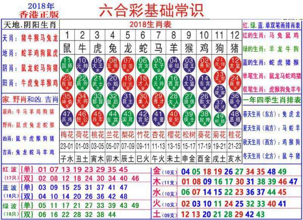 白茫茫 第5页