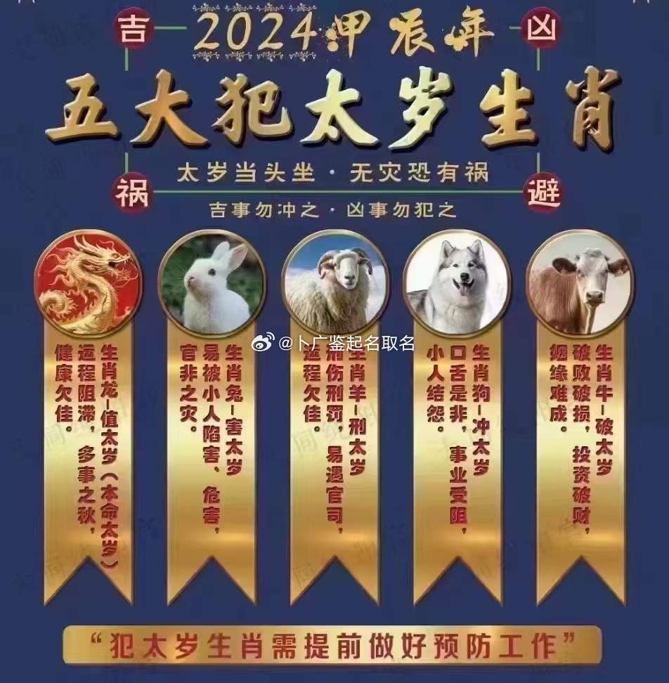 2024年12生肖49码图,揭秘2024年十二生肖与49码图的神秘关联