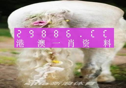 今晚一肖一码澳门一肖四不像,今晚一肖一码澳门一肖四不像，揭示背后的犯罪问题