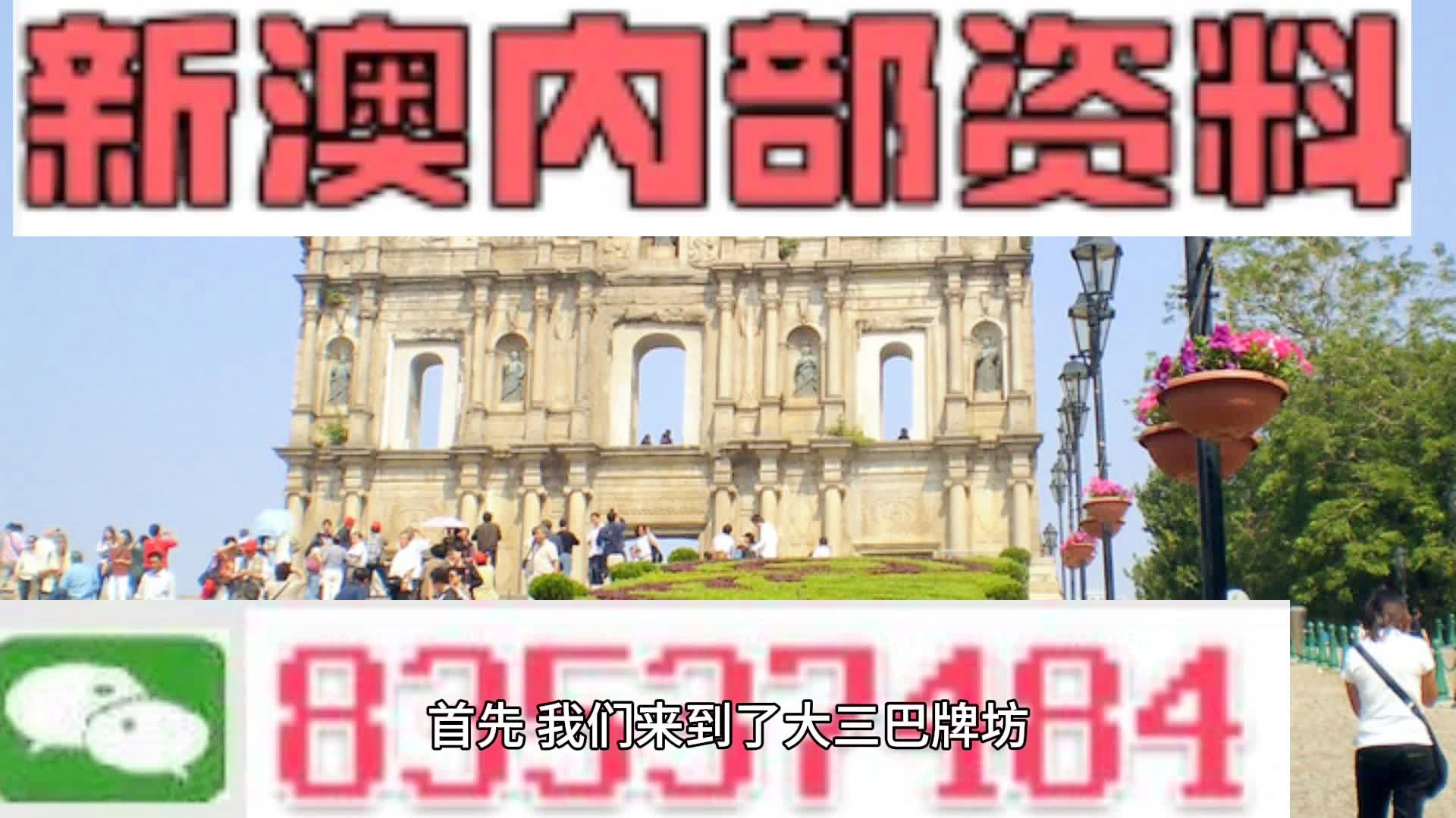 2024年新澳门王中王免费,关于澳门王中王免费与违法犯罪问题的探讨