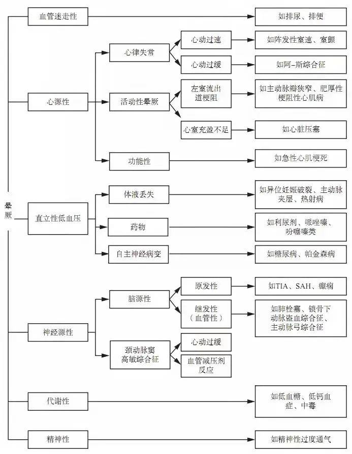 管家婆一码中奖,管家婆一码中奖，揭秘彩票背后的神秘力量