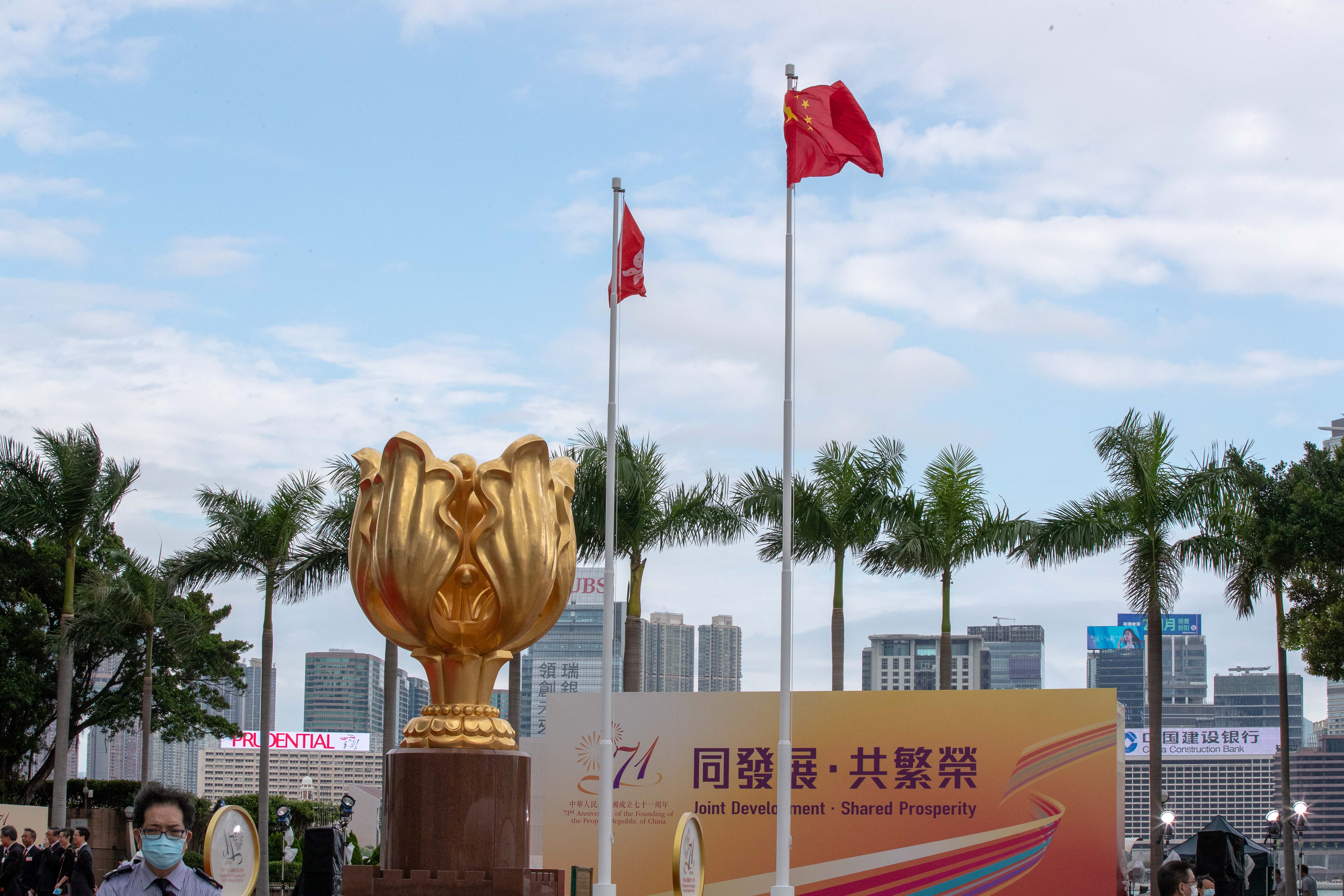 香港资料大全正版资料图片,香港资料大全，正版资料图片与深度解析