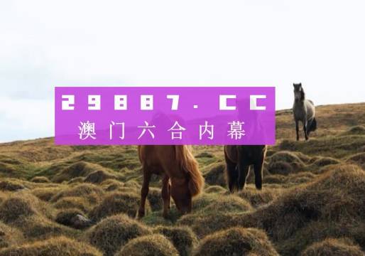 新澳门开奖结果+开奖结果,新澳门开奖结果及开奖概述