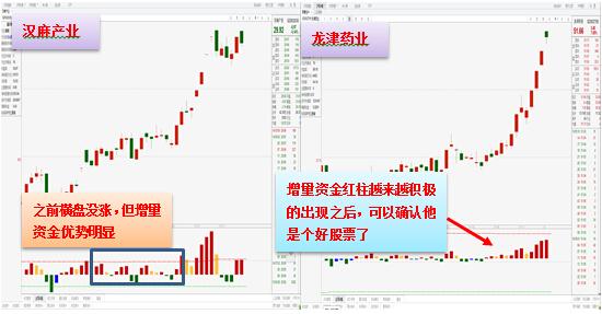 澳门生肖走势图精准,澳门生肖走势图精准预测与解析