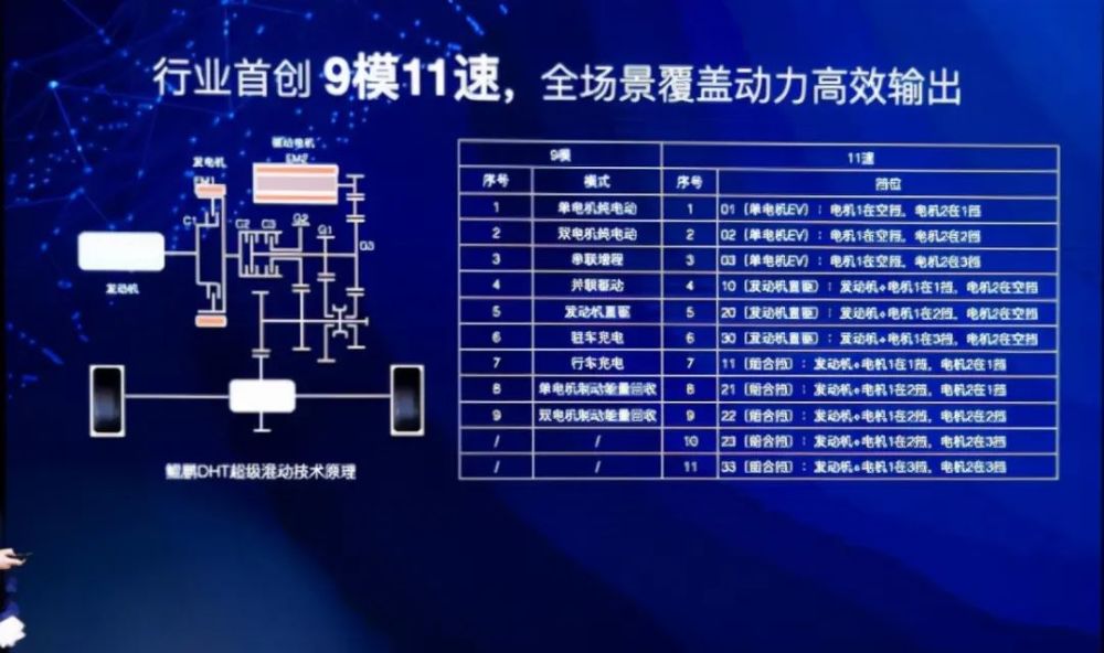 新澳门天天彩期期精准,新澳门天天彩期期精准，揭示背后的犯罪问题